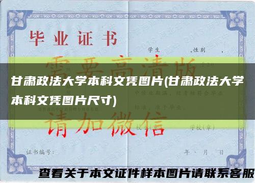 甘肃政法大学本科文凭图片(甘肃政法大学本科文凭图片尺寸)缩略图