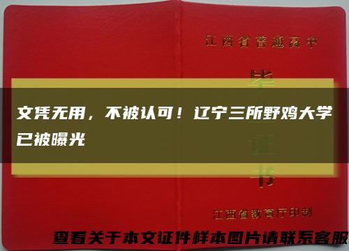 文凭无用，不被认可！辽宁三所野鸡大学已被曝光缩略图