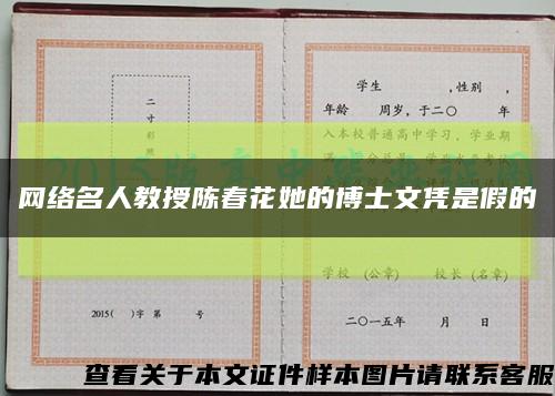 网络名人教授陈春花她的博士文凭是假的缩略图