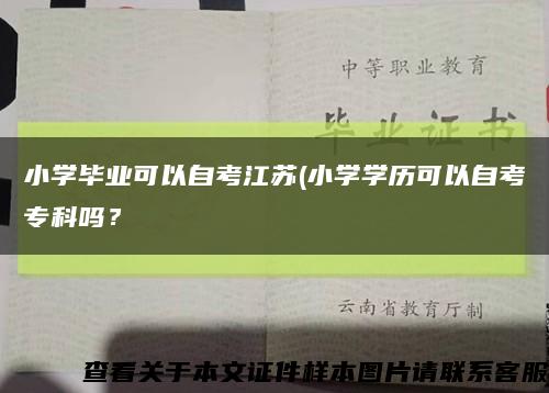 小学毕业可以自考江苏(小学学历可以自考专科吗？缩略图