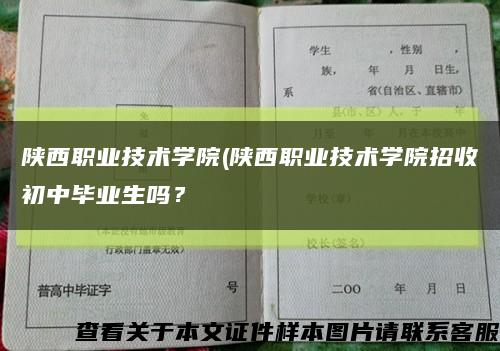 陕西职业技术学院(陕西职业技术学院招收初中毕业生吗？缩略图