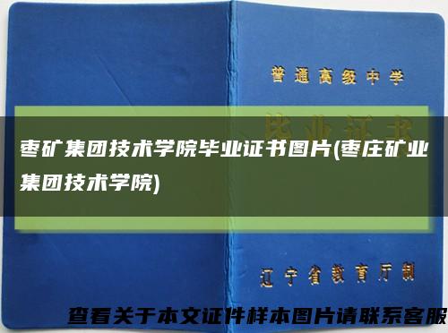 枣矿集团技术学院毕业证书图片(枣庄矿业集团技术学院)缩略图