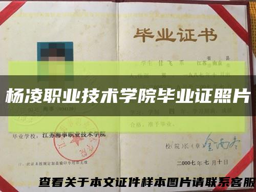 杨凌职业技术学院毕业证照片缩略图