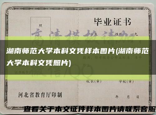 湖南师范大学本科文凭样本图片(湖南师范大学本科文凭照片)缩略图