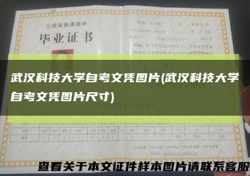 武汉科技大学自考文凭图片(武汉科技大学自考文凭图片尺寸)缩略图