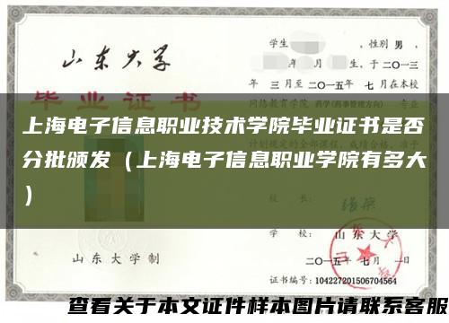 上海电子信息职业技术学院毕业证书是否分批颁发（上海电子信息职业学院有多大）缩略图