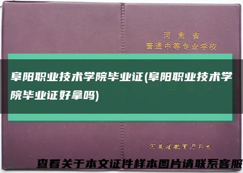 阜阳职业技术学院毕业证(阜阳职业技术学院毕业证好拿吗)缩略图