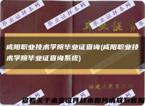 咸阳职业技术学院毕业证查询(咸阳职业技术学院毕业证查询系统)缩略图