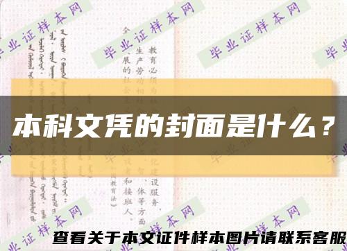 本科文凭的封面是什么？缩略图