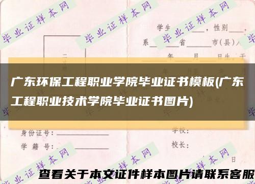 广东环保工程职业学院毕业证书模板(广东工程职业技术学院毕业证书图片)缩略图