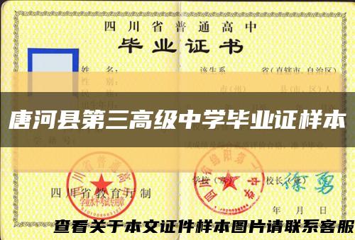 唐河县第三高级中学毕业证样本缩略图