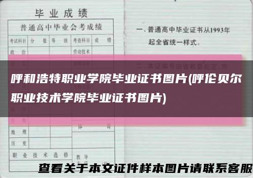 呼和浩特职业学院毕业证书图片(呼伦贝尔职业技术学院毕业证书图片)缩略图