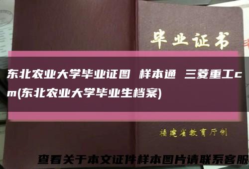 东北农业大学毕业证图 样本通 三菱重工cm(东北农业大学毕业生档案)缩略图