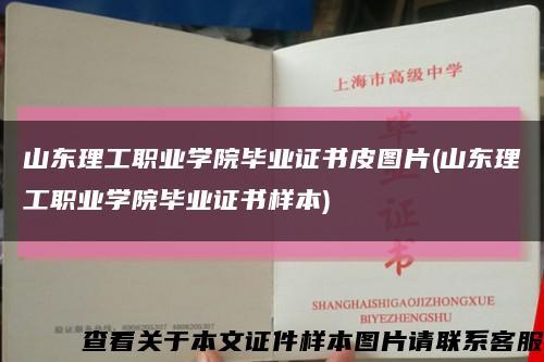 山东理工职业学院毕业证书皮图片(山东理工职业学院毕业证书样本)缩略图