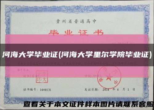 河海大学毕业证(河海大学里尔学院毕业证)缩略图