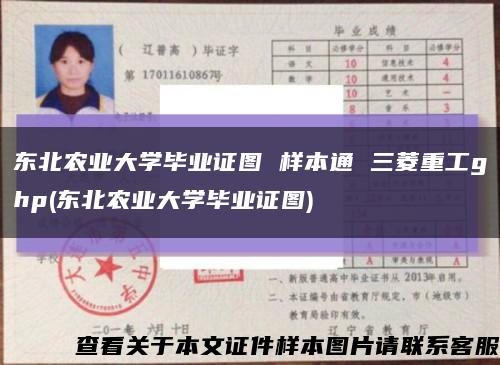 东北农业大学毕业证图 样本通 三菱重工ghp(东北农业大学毕业证图)缩略图