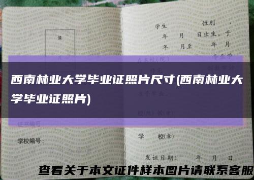 西南林业大学毕业证照片尺寸(西南林业大学毕业证照片)缩略图