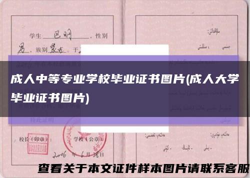 成人中等专业学校毕业证书图片(成人大学毕业证书图片)缩略图