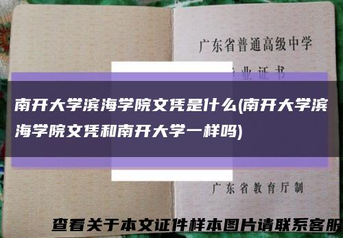 南开大学滨海学院文凭是什么(南开大学滨海学院文凭和南开大学一样吗)缩略图