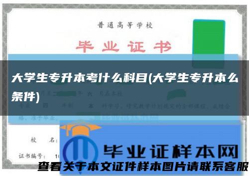 大学生专升本考什么科目(大学生专升本么条件)缩略图