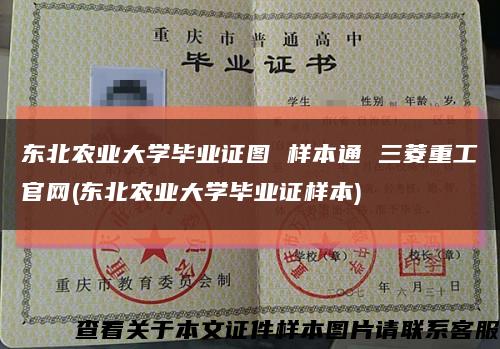 东北农业大学毕业证图 样本通 三菱重工官网(东北农业大学毕业证样本)缩略图