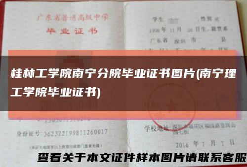 桂林工学院南宁分院毕业证书图片(南宁理工学院毕业证书)缩略图