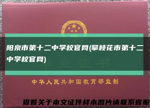 阳泉市第十二中学校官网(攀枝花市第十二中学校官网)缩略图