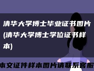 清华大学博士毕业证书图片(清华大学博士学位证书样本)缩略图