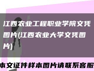 江西农业工程职业学院文凭图片(江西农业大学文凭图片)缩略图