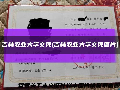 吉林农业大学文凭(吉林农业大学文凭图片)缩略图