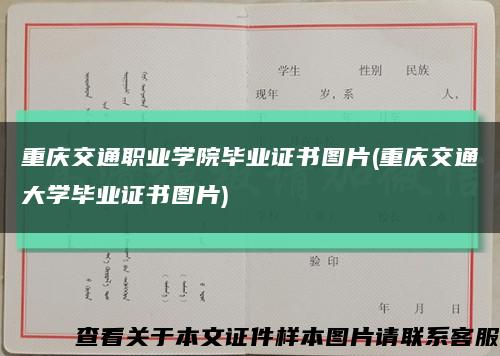 重庆交通职业学院毕业证书图片(重庆交通大学毕业证书图片)缩略图