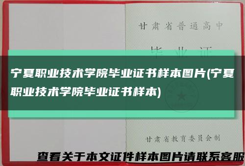 宁夏职业技术学院毕业证书样本图片(宁夏职业技术学院毕业证书样本)缩略图