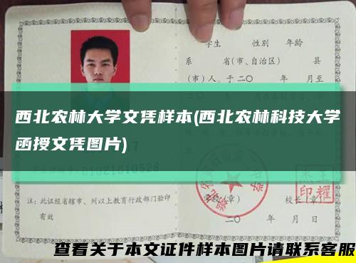 西北农林大学文凭样本(西北农林科技大学函授文凭图片)缩略图