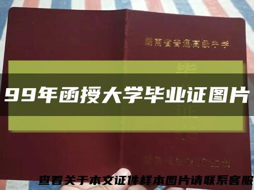 99年函授大学毕业证图片缩略图