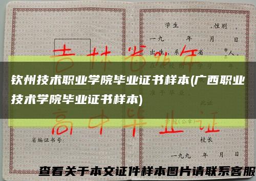 钦州技术职业学院毕业证书样本(广西职业技术学院毕业证书样本)缩略图