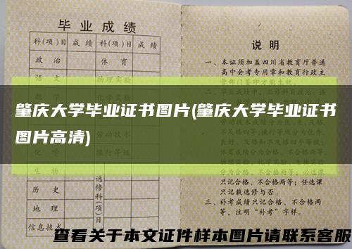 肇庆大学毕业证书图片(肇庆大学毕业证书图片高清)缩略图