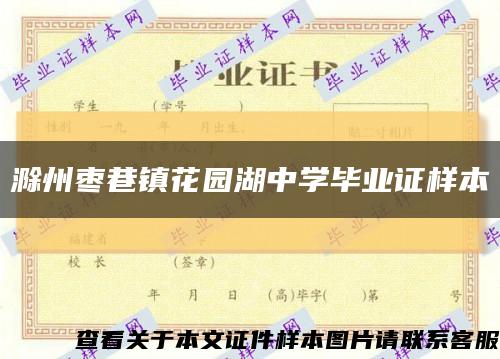 滁州枣巷镇花园湖中学毕业证样本缩略图