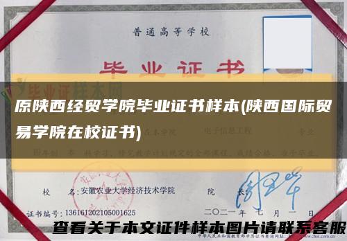 原陕西经贸学院毕业证书样本(陕西国际贸易学院在校证书)缩略图