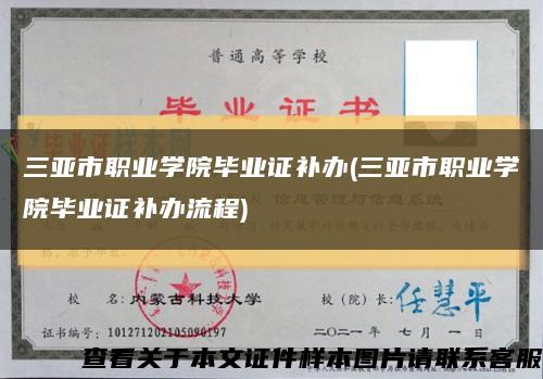 三亚市职业学院毕业证补办(三亚市职业学院毕业证补办流程)缩略图