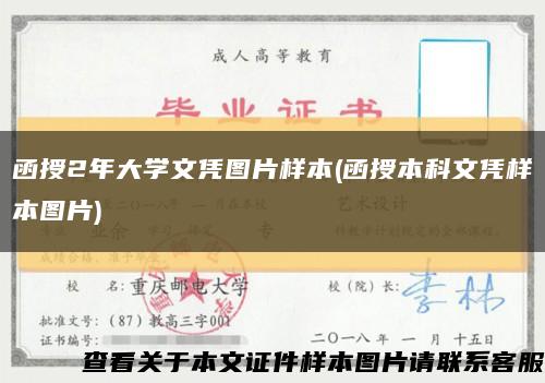 函授2年大学文凭图片样本(函授本科文凭样本图片)缩略图