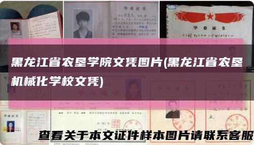 黑龙江省农垦学院文凭图片(黑龙江省农垦机械化学校文凭)缩略图