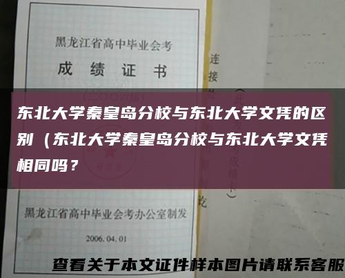 东北大学秦皇岛分校与东北大学文凭的区别（东北大学秦皇岛分校与东北大学文凭相同吗？缩略图