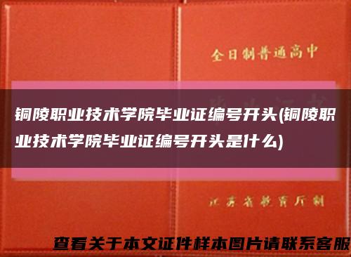 铜陵职业技术学院毕业证编号开头(铜陵职业技术学院毕业证编号开头是什么)缩略图