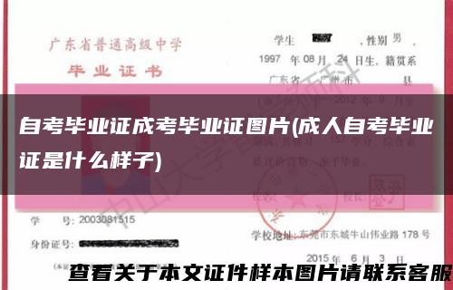 自考毕业证成考毕业证图片(成人自考毕业证是什么样子)缩略图