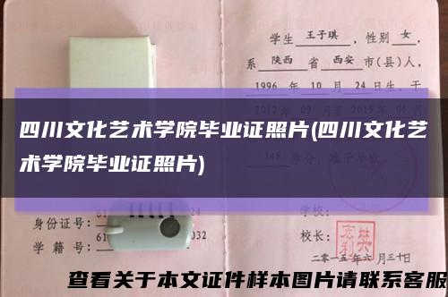 四川文化艺术学院毕业证照片(四川文化艺术学院毕业证照片)缩略图