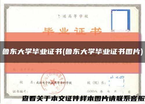 鲁东大学毕业证书(鲁东大学毕业证书图片)缩略图