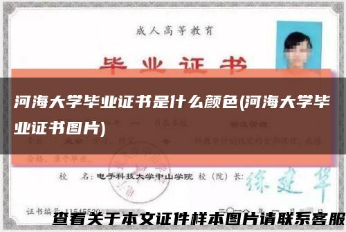 河海大学毕业证书是什么颜色(河海大学毕业证书图片)缩略图