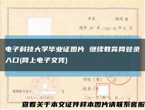 电子科技大学毕业证图片 继续教育网登录入口(网上电子文凭)缩略图