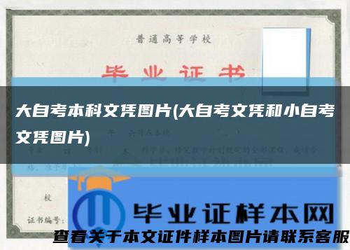 大自考本科文凭图片(大自考文凭和小自考文凭图片)缩略图