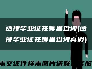 函授毕业证在哪里查询(函授毕业证在哪里查询真假)缩略图